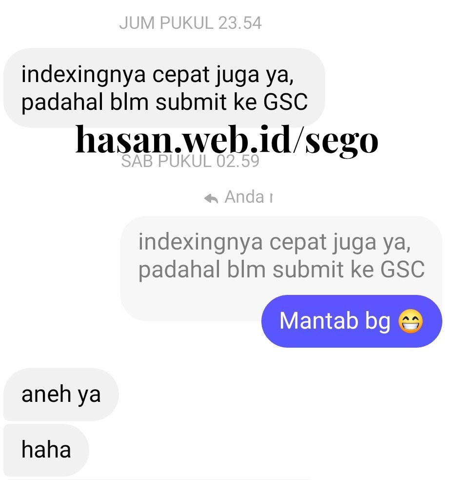 Belum submit ke GSC udah keindeks